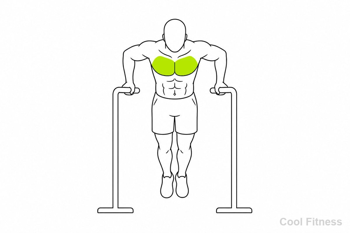 平行棒で体を支えて下ろすディップスの姿勢の人物の線画イラスト。胸下部・二の腕をボルト色で強調