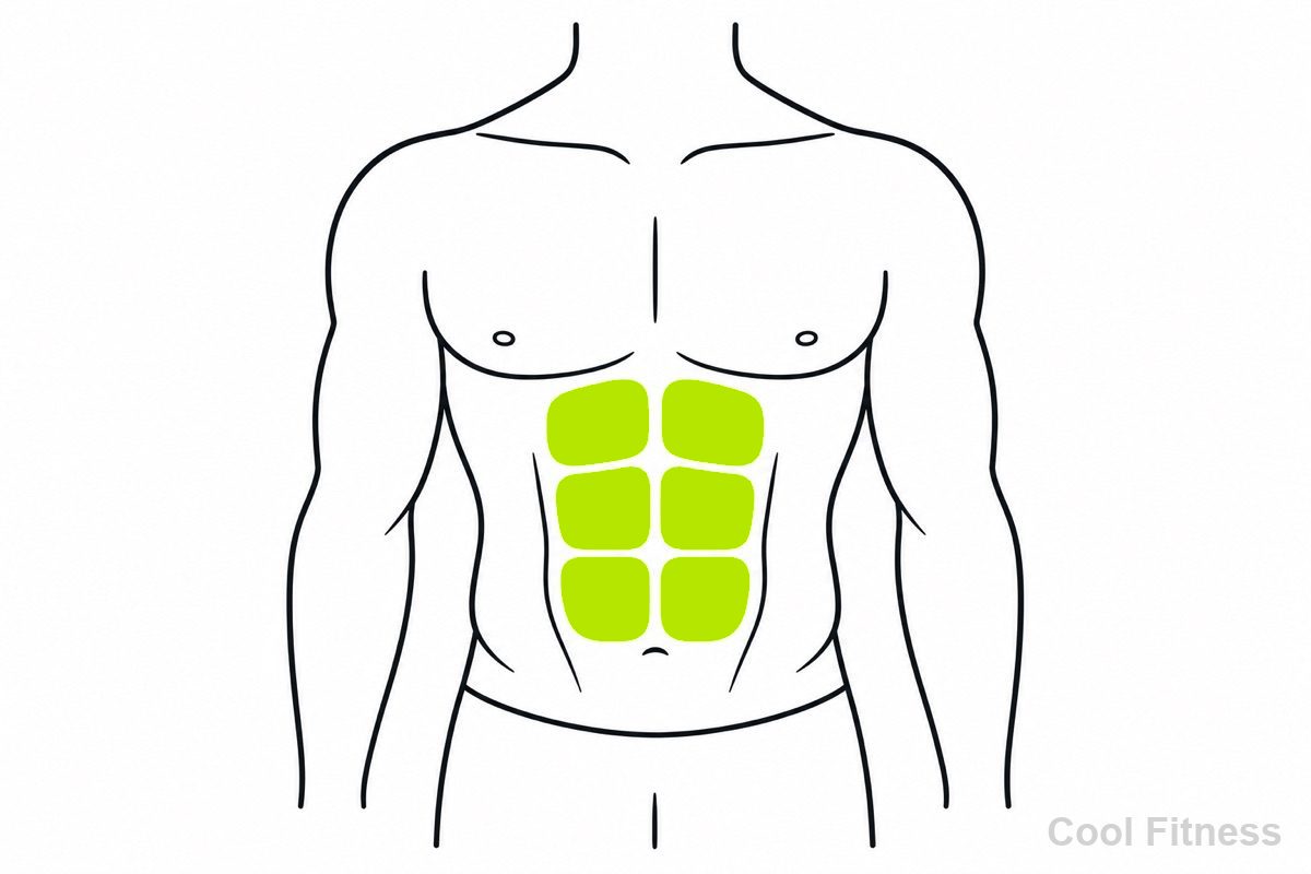 割れた腹筋（シックスパック）の胴体を示す線画イラスト。腹筋をボルト色で強調